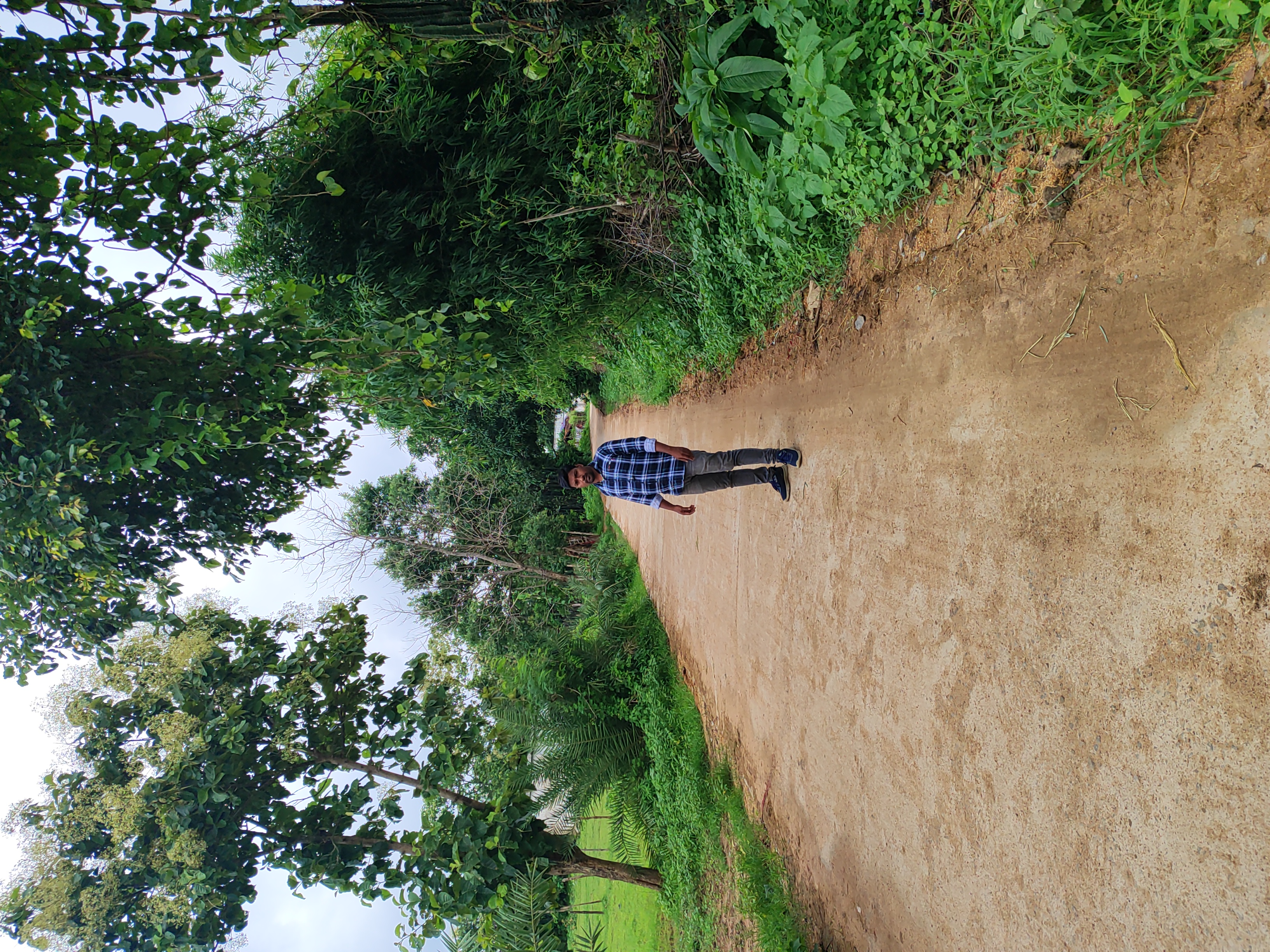 Status Image