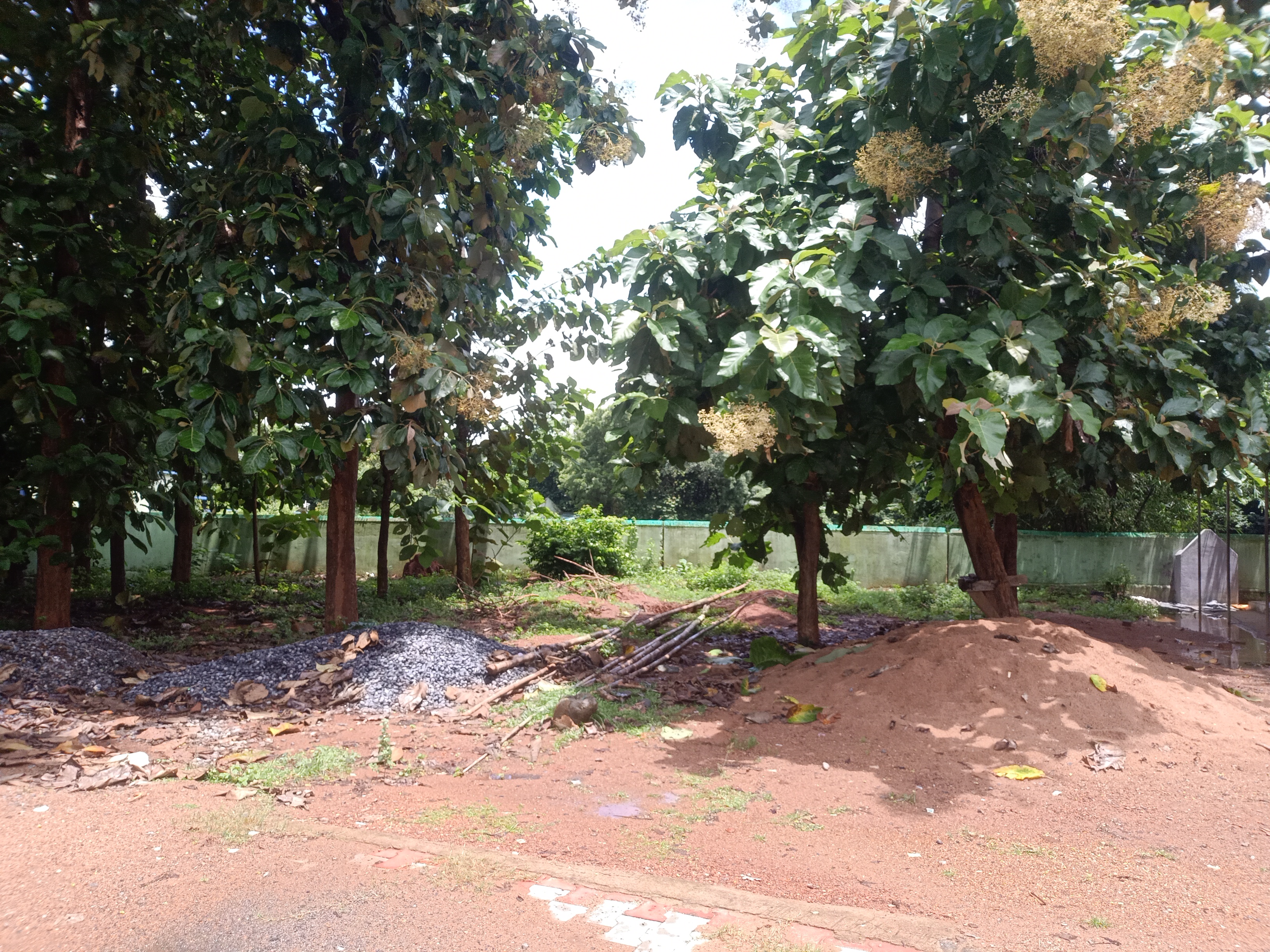 Status Image