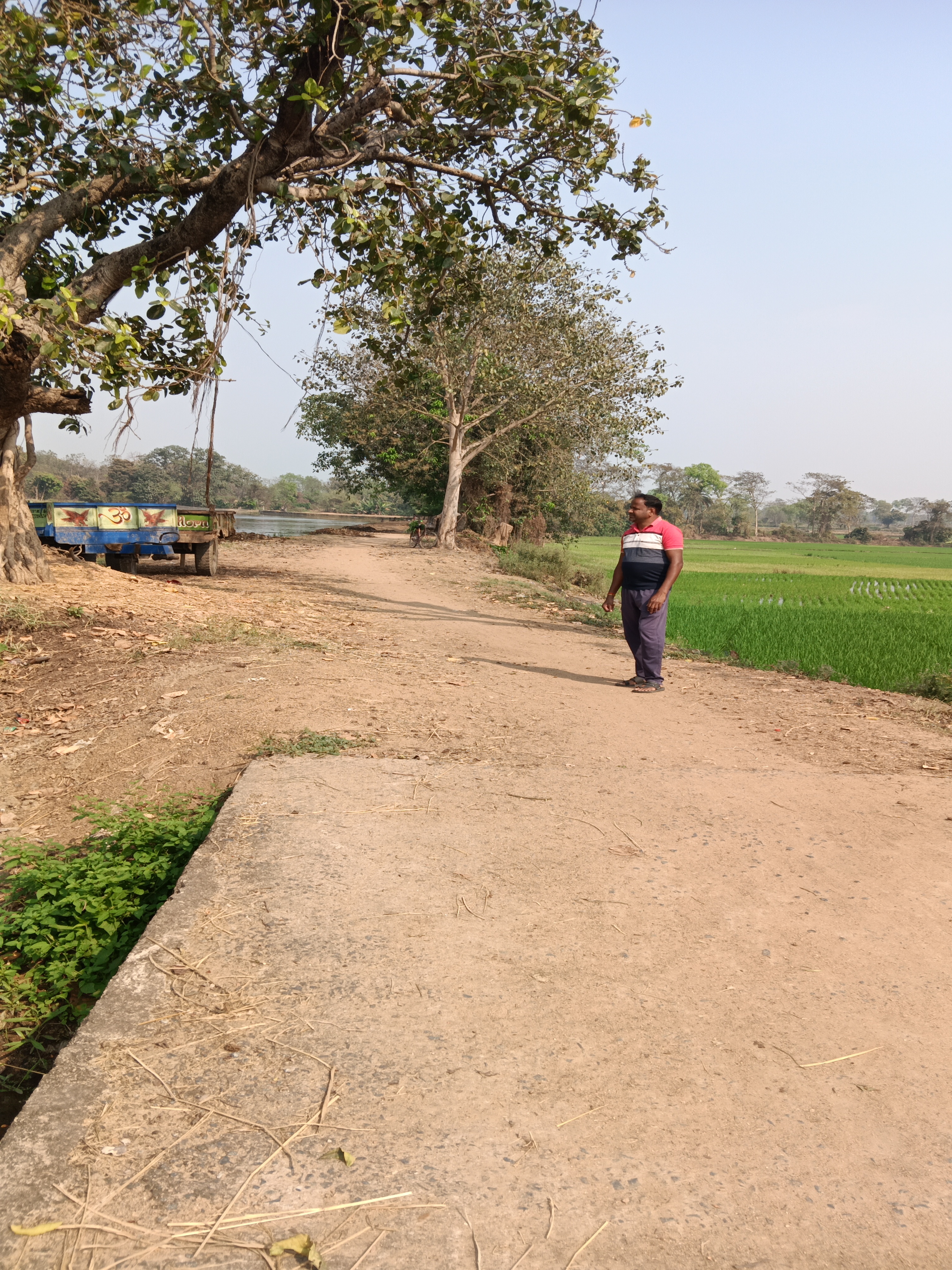 Status Image