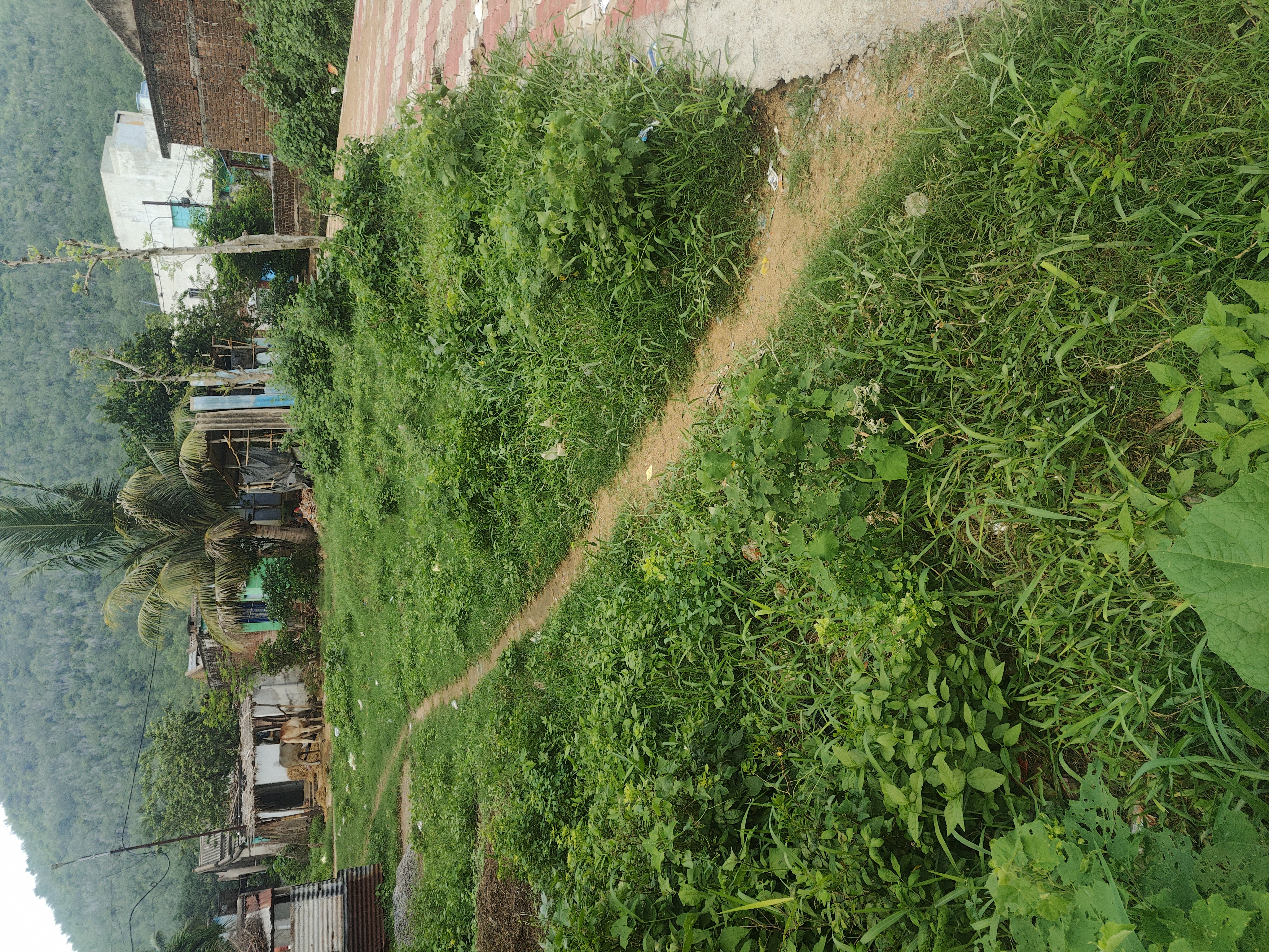Status Image