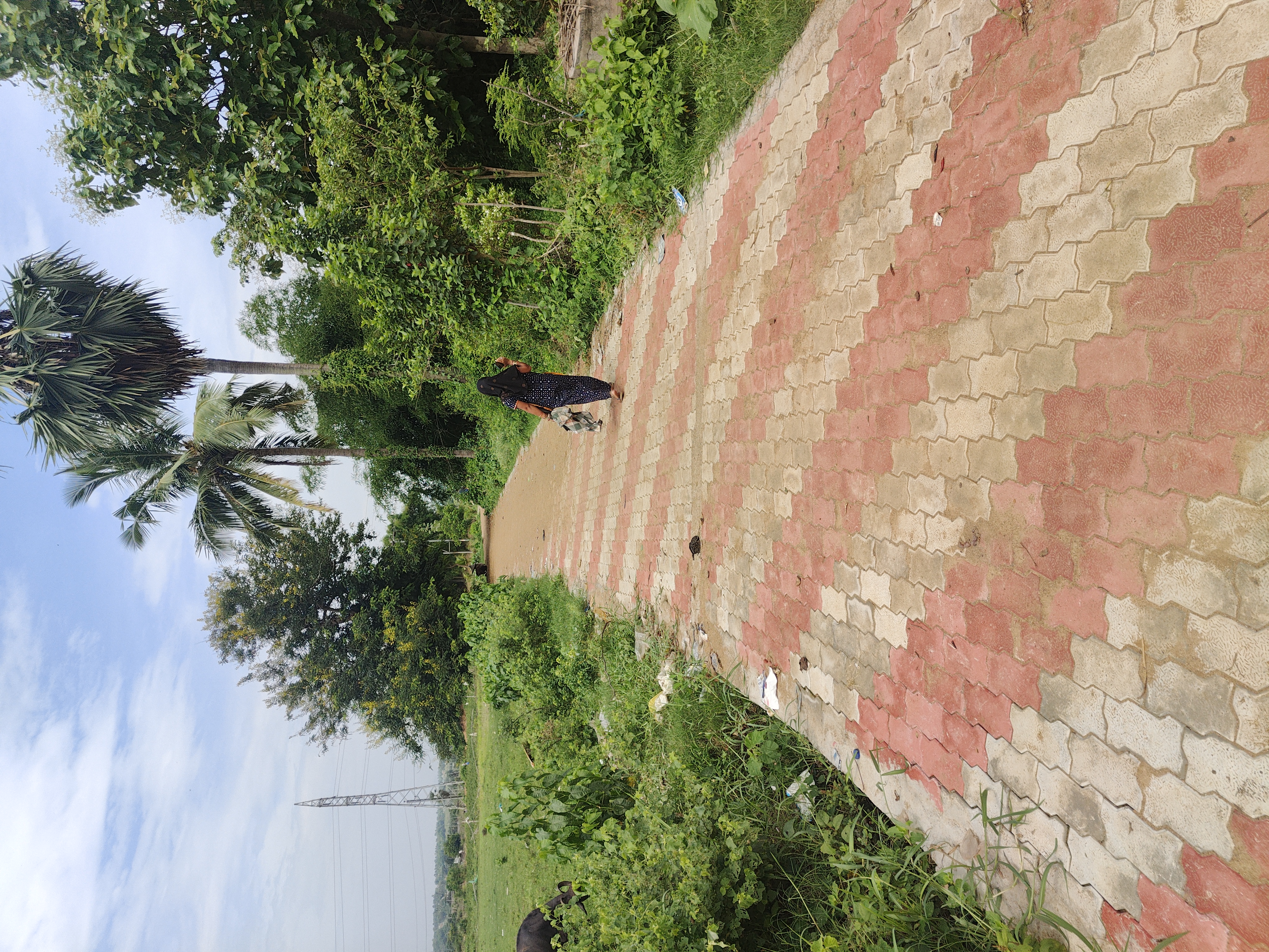 Status Image