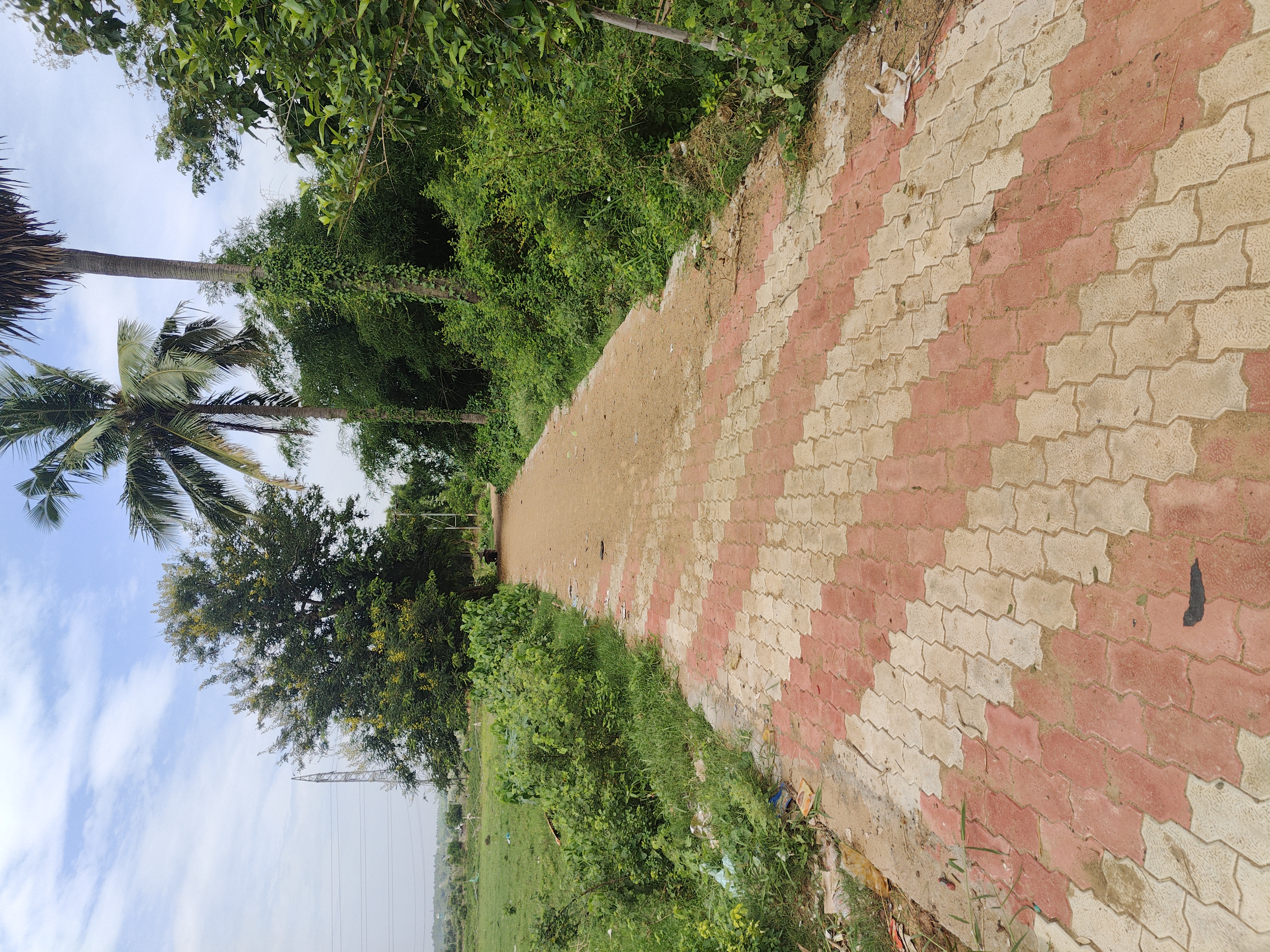 Status Image