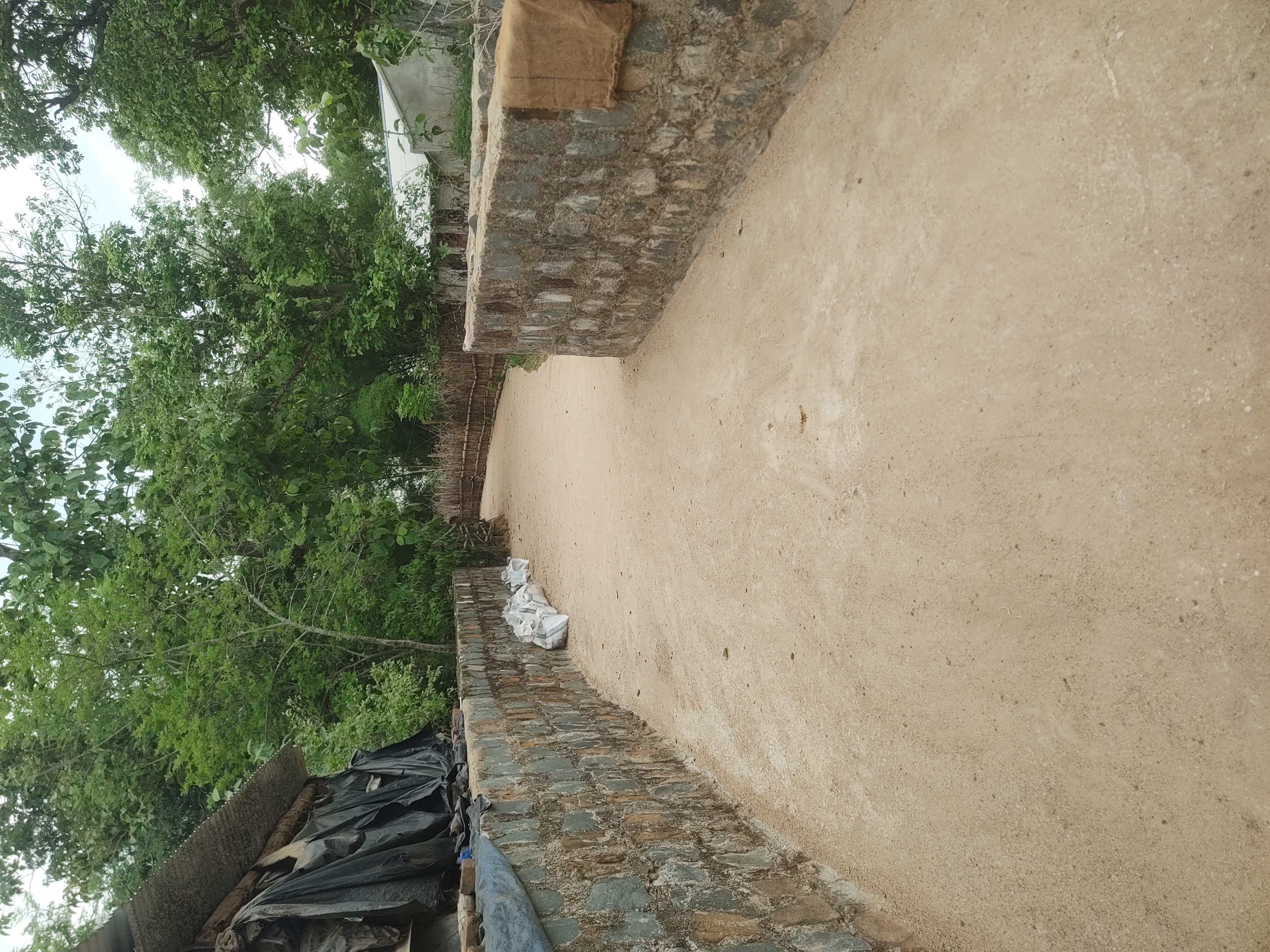 Status Image