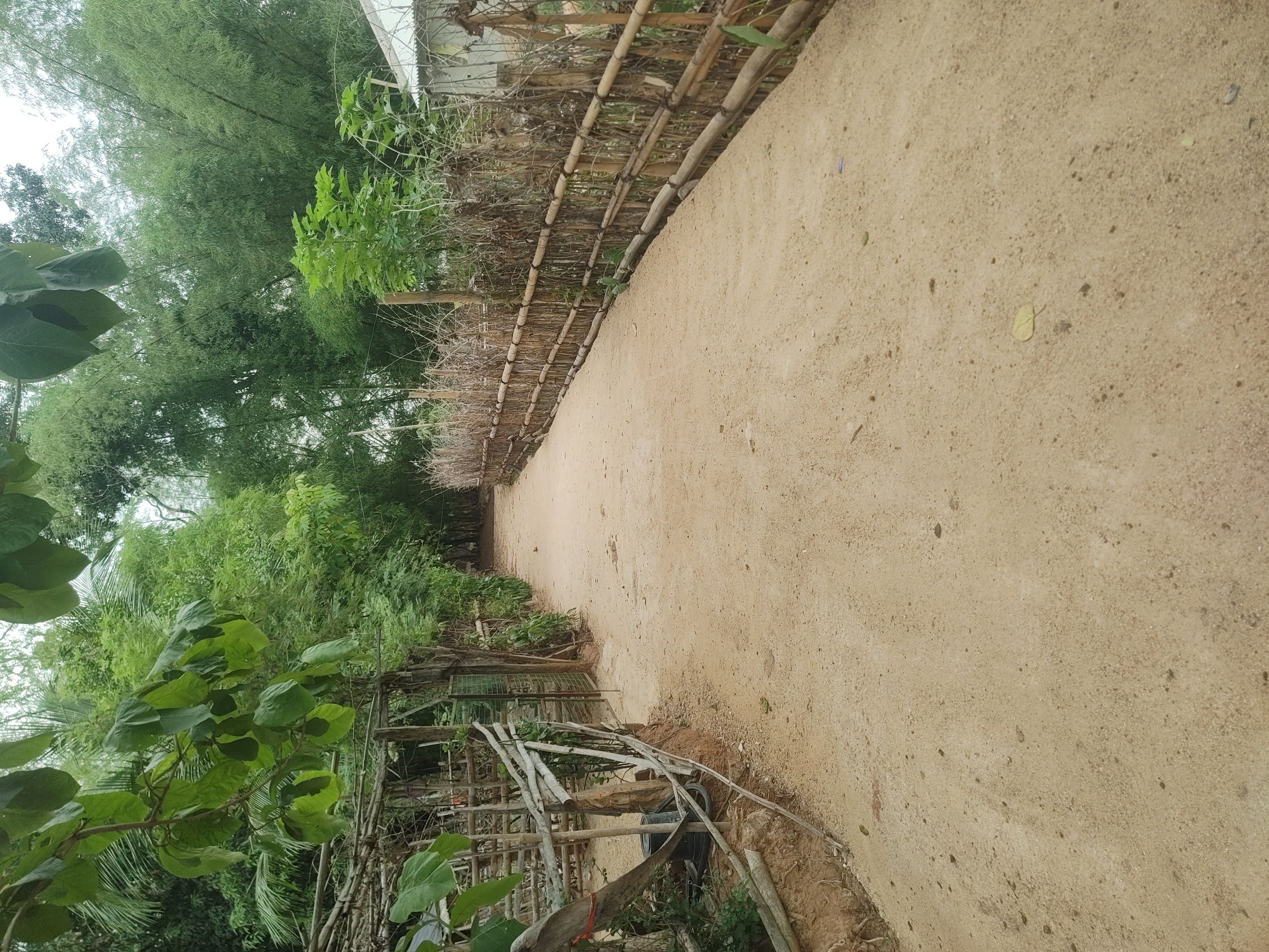 Status Image