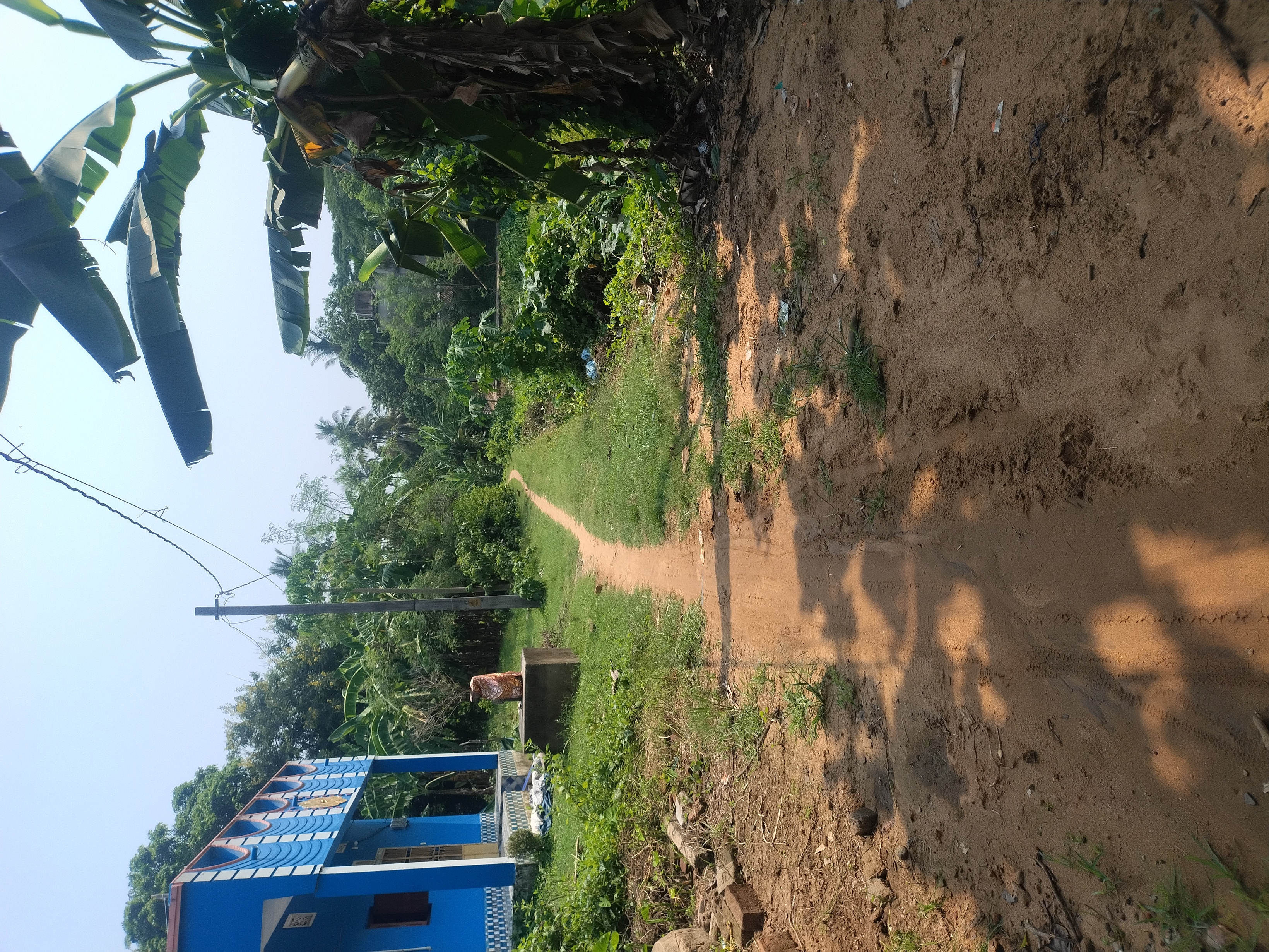 Status Image